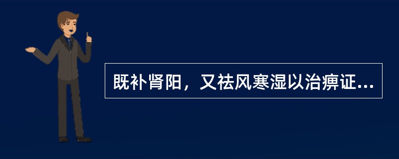 既补肾阳，又祛风寒湿以治痹证的药物是