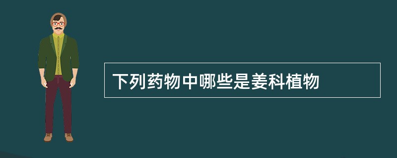 下列药物中哪些是姜科植物