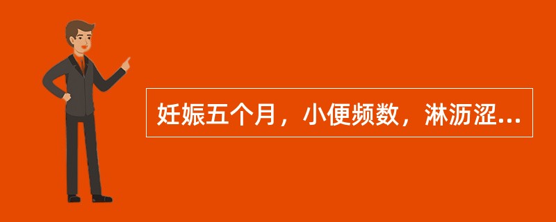 妊娠五个月，小便频数，淋沥涩痛，午后潮热，手足心热，大便干结，颧赤唇红，舌红少苔，脉细滑数。应诊断为