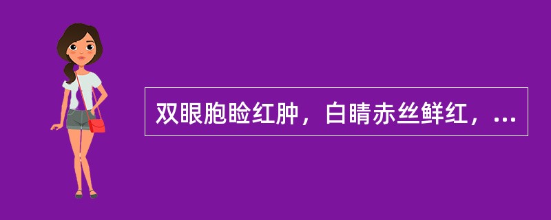 双眼胞睑红肿，白睛赤丝鲜红，沙涩疼痛，灼热羞明，兼见口干喜饮，尿赤便结，舌红苔黄，脉数。治宜（　　）。