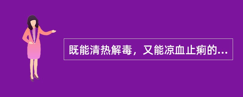 既能清热解毒，又能凉血止痢的药物有