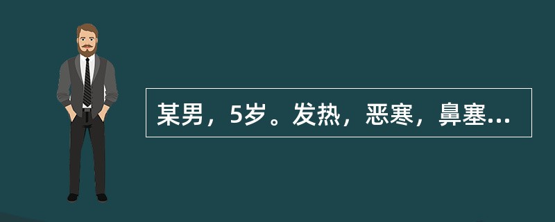 某男，5岁。发热，恶寒，鼻塞，咳嗽，苔薄白，脉浮。若属风寒束肺证，诊断意义最小的症状是