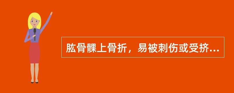 肱骨髁上骨折，易被刺伤或受挤压的血管神经（）