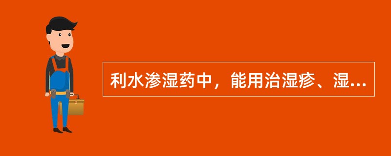 利水渗湿药中，能用治湿疹、湿疮的药物是