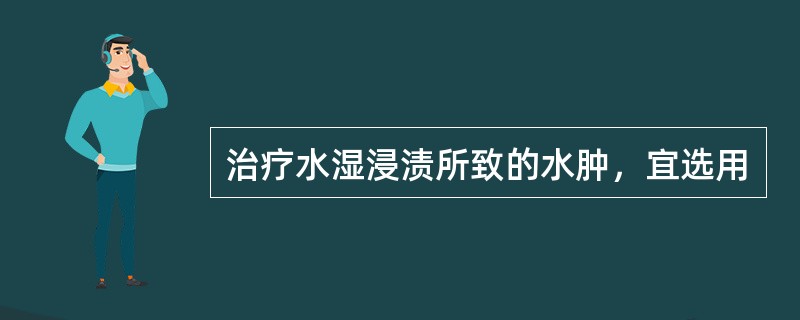 治疗水湿浸渍所致的水肿，宜选用