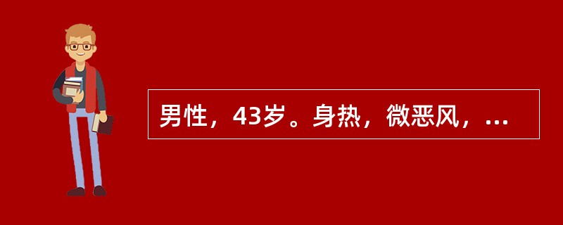 男性，43岁。身热，微恶风，汗少，肢体痠重，头昏重胀而痛，心烦口渴，胸闷恶心，小便短赤，舌苔薄黄腻，脉濡数方药宜选用