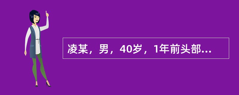 凌某，男，40岁，1年前头部外伤后常自觉头晕头痛，健忘失眠，耳鸣，精神不振面唇紫暗，舌暗红，脉弦涩。治法为