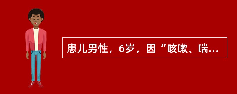 患儿男性，6岁，因“咳嗽、喘促反复发作3年，近作1天”来诊。现证见喘促气急，咳嗽痰鸣，恶寒发热，鼻流清涕，咳痰黄稠，口渴，大便干，舌红，苔白，脉滑数。该患儿的中医证候诊断为