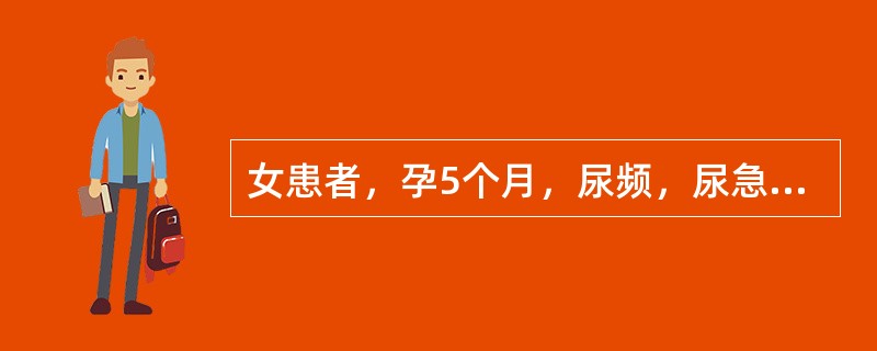 女患者，孕5个月，尿频，尿急，尿痛，尿色深黄，面赤心烦，口舌生疮。舌红少苔，脉细滑数。治疗方剂是：