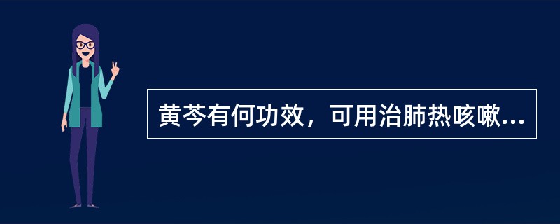 黄芩有何功效，可用治肺热咳嗽之痰黄稠兼大肠湿热泄泻