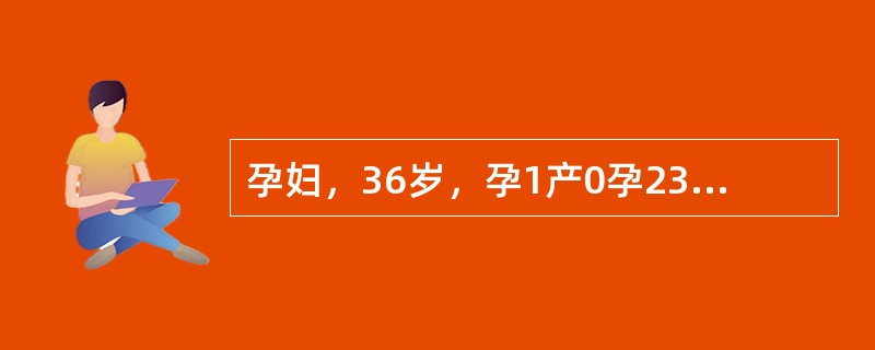 孕妇，36岁，孕1产0孕23周2d。孕16周血清学唐氏综合征筛查风险值为1/60。超声测量羊水指数为26cm，上腹部横切面超声所见如下图。</p><p><img bord