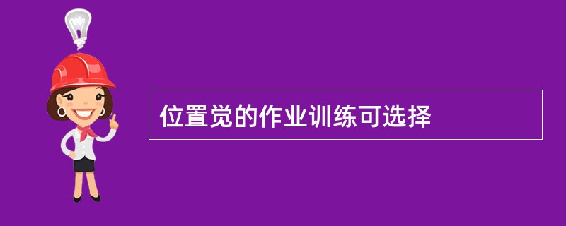 位置觉的作业训练可选择