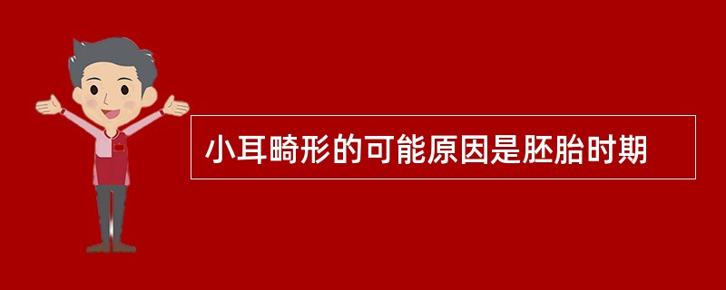 小耳畸形的可能原因是胚胎时期