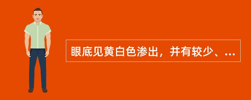 眼底见黄白色渗出，并有较少、易数的白色棉绒斑，眼底未见有新生血管。按目前我国使用的糖尿病视网膜病变分期标准属于