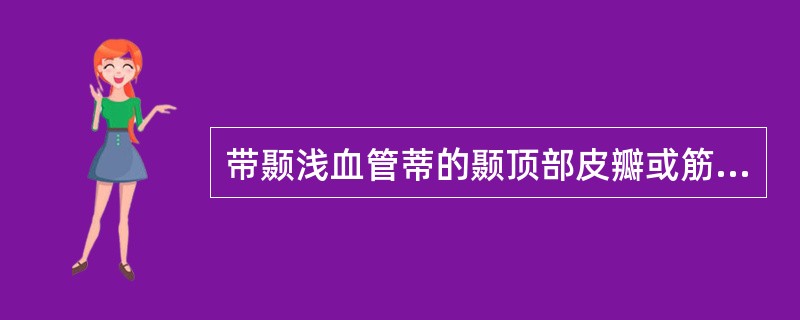 带颞浅血管蒂的颞顶部皮瓣或筋膜瓣不适宜进行下列哪项缺损的修复