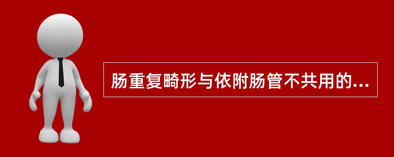 肠重复畸形与依附肠管不共用的组织为