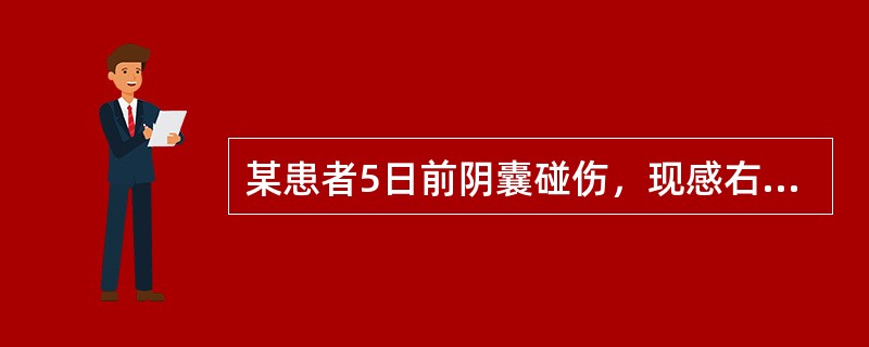 某患者5日前阴囊碰伤，现感右侧阴囊不适，超声检查如图，最可能的诊断为<img border="0" style="width: 709px; height: 538
