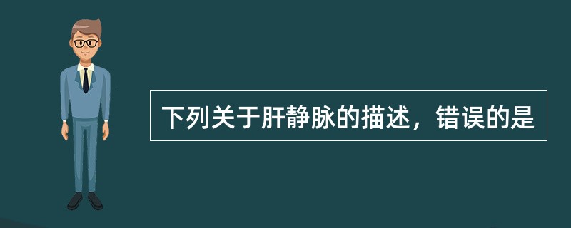 下列关于肝静脉的描述，错误的是