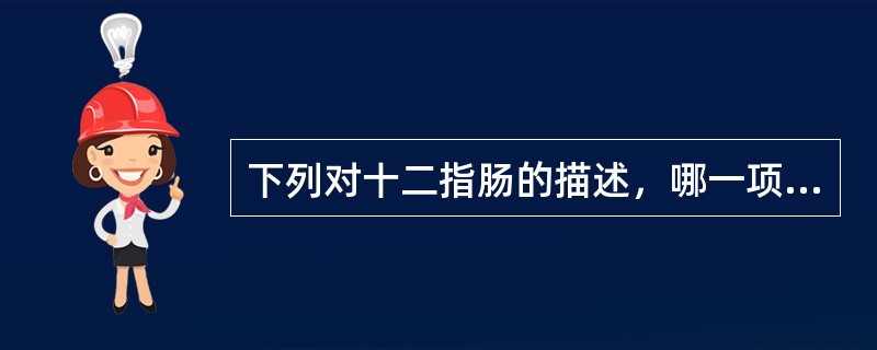 下列对十二指肠的描述，哪一项不正确