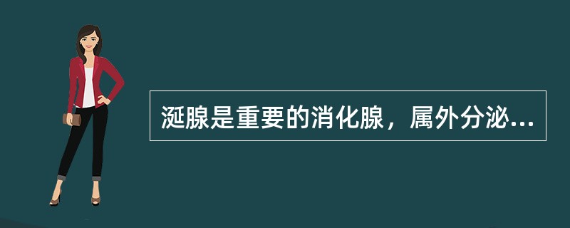 涎腺是重要的消化腺，属外分泌腺，包括：