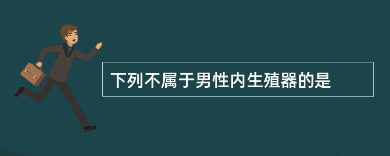 下列不属于男性内生殖器的是