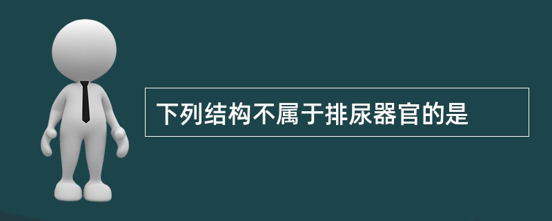 下列结构不属于排尿器官的是