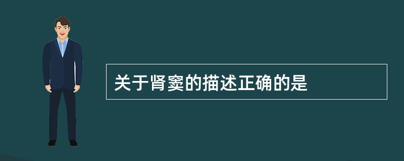 关于肾窦的描述正确的是