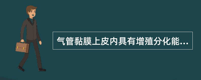 气管黏膜上皮内具有增殖分化能力的细胞是