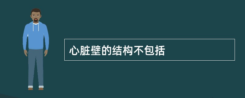 心脏壁的结构不包括