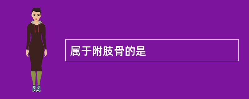 属于附肢骨的是