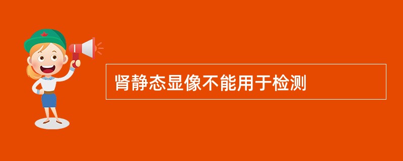 肾静态显像不能用于检测