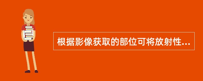 根据影像获取的部位可将放射性核素显像分为