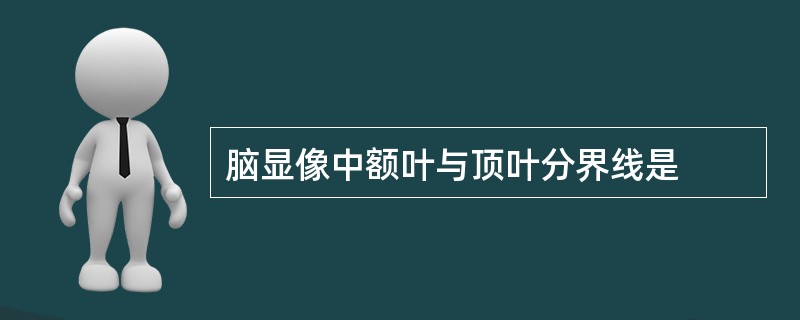 脑显像中额叶与顶叶分界线是