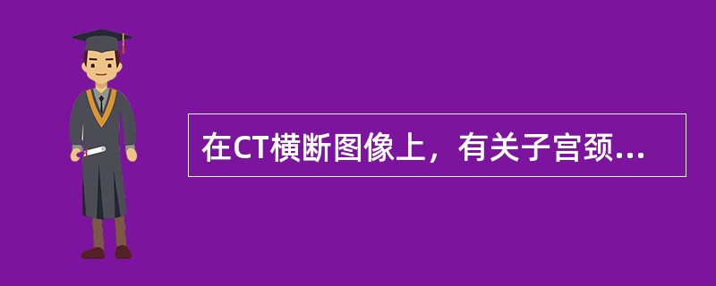 在CT横断图像上，有关子宫颈的解剖描述正确的有