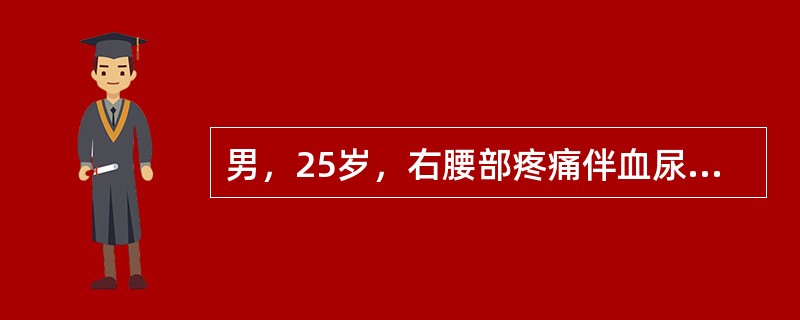 男，25岁，右腰部疼痛伴血尿，有外伤史，CT扫描如图所示，应诊断为<img border="0" style="width: 319px; height: 234p