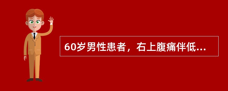 60岁男性患者，右上腹痛伴低热一月余。超声检查发现肝左叶低回声占位，直径约4cm，CT平扫为多房状，内呈低密度，增强扫描呈环形强化。应考虑为