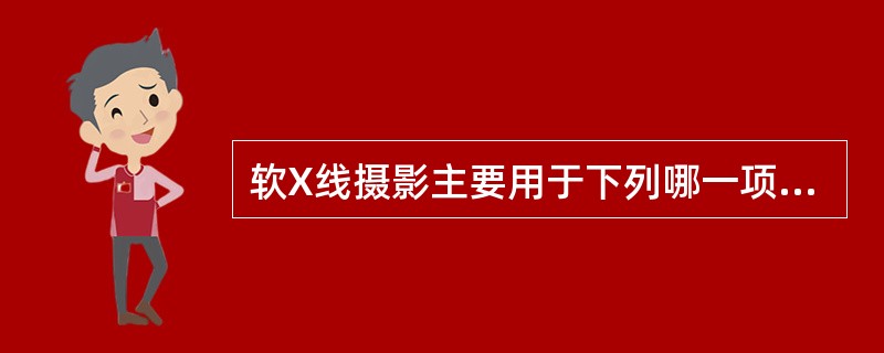 软X线摄影主要用于下列哪一项检查