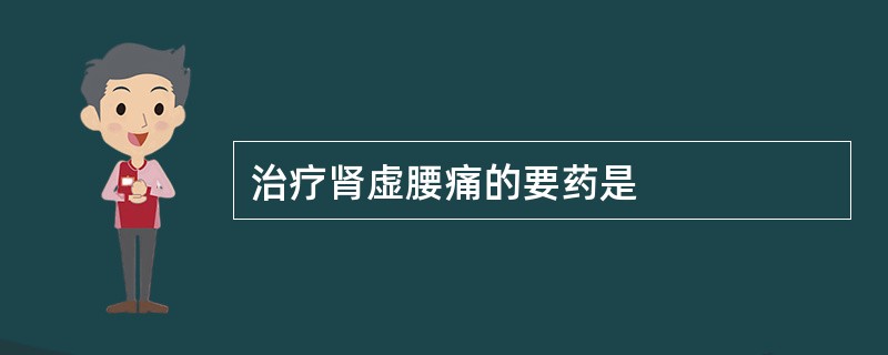 治疗肾虚腰痛的要药是