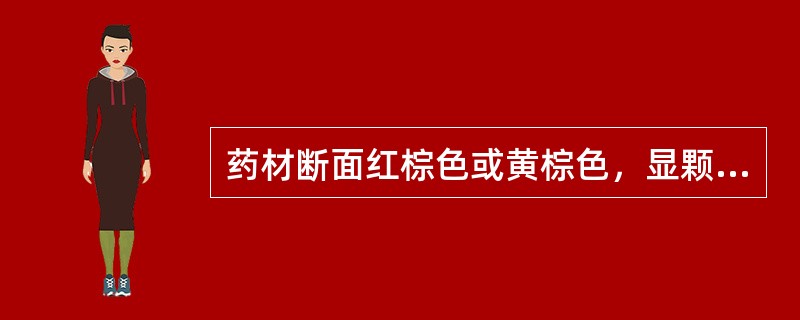 药材断面红棕色或黄棕色，显颗粒性，髓部有星点的是