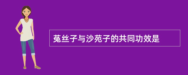 菟丝子与沙苑子的共同功效是