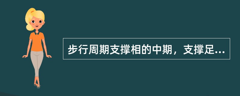 步行周期支撑相的中期，支撑足全部着地，对侧足处于摆动相，参与的肌肉主要为