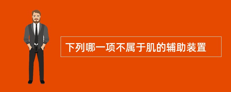 下列哪一项不属于肌的辅助装置