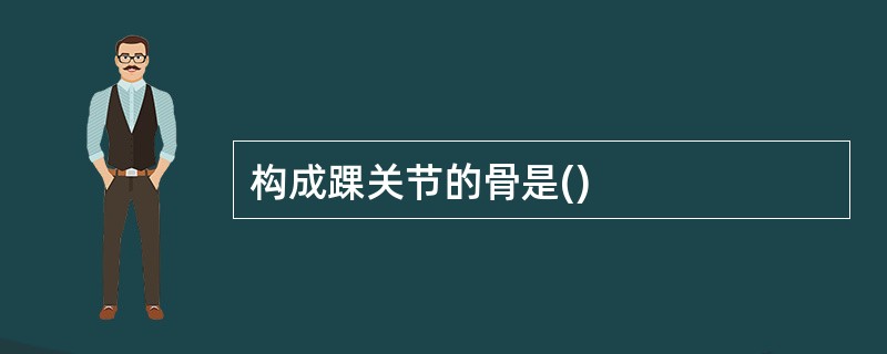 构成踝关节的骨是()