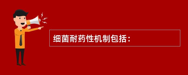 细菌耐药性机制包括：