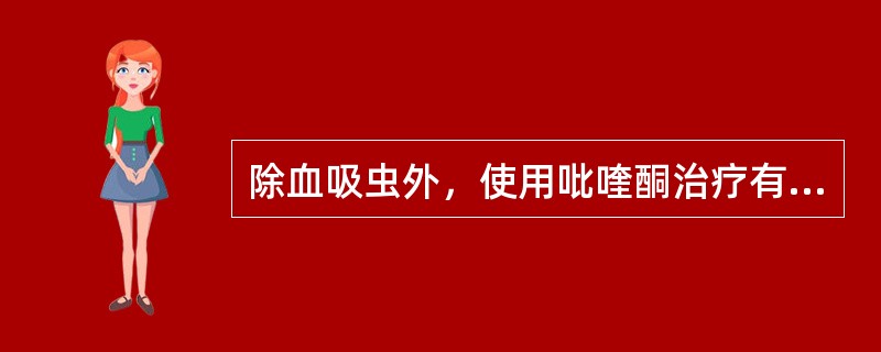 除血吸虫外，使用吡喹酮治疗有效的寄生虫有