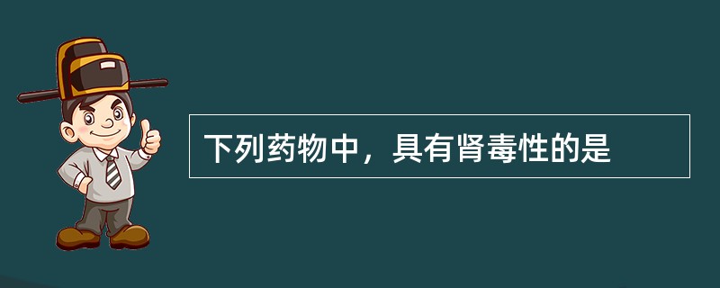 下列药物中，具有肾毒性的是