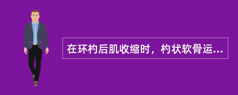 在环杓后肌收缩时，杓状软骨运动方向是()