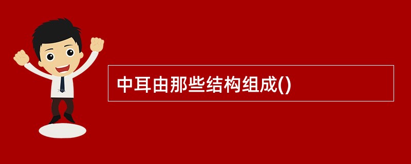 中耳由那些结构组成()