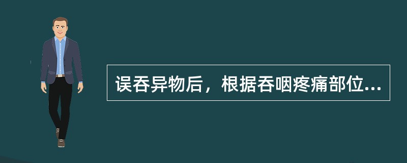 误吞异物后，根据吞咽疼痛部位判断异物位置哪些项是正确的?()