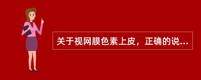 关于视网膜色素上皮，正确的说法是()